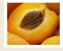 Mermelada Apricot