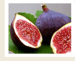 Mermelada Fig